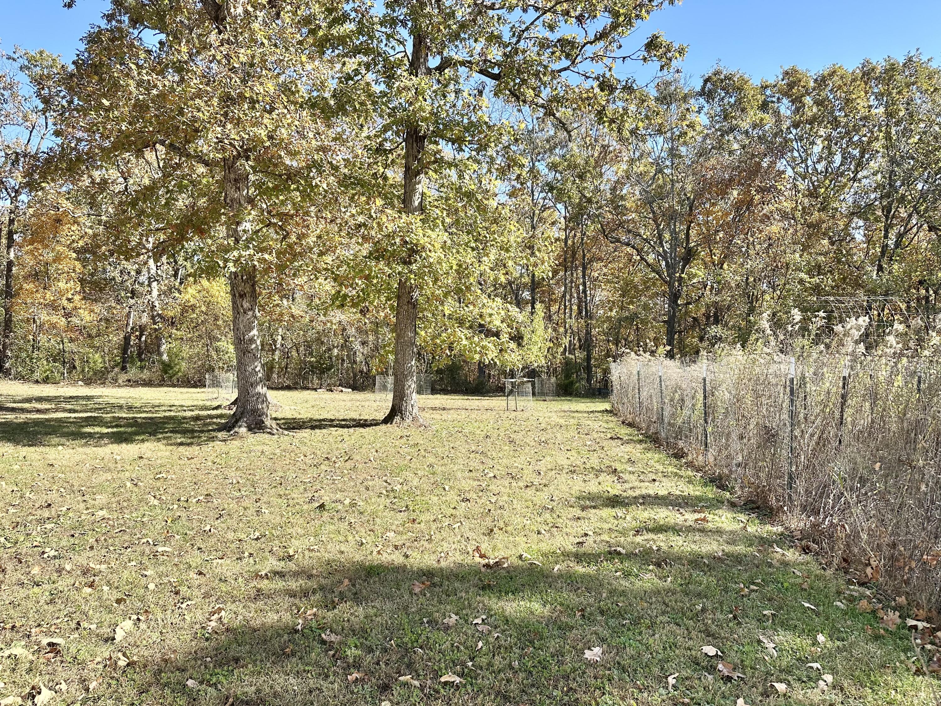 13705 Hawksbill Drive Property Photo 61