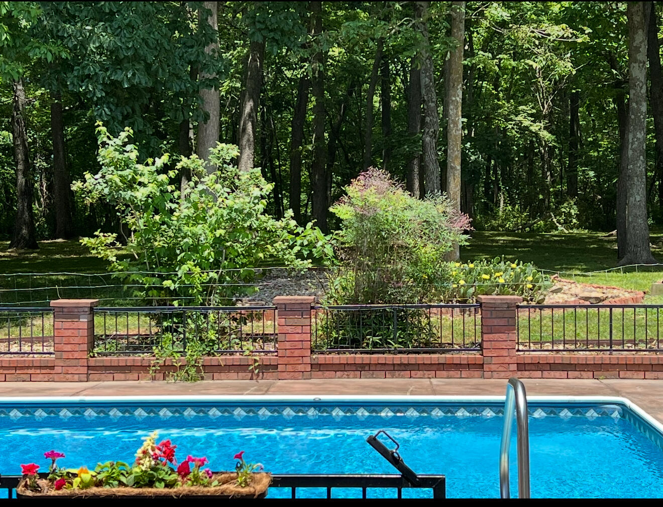 8043 State Hwy M Property Photo 46