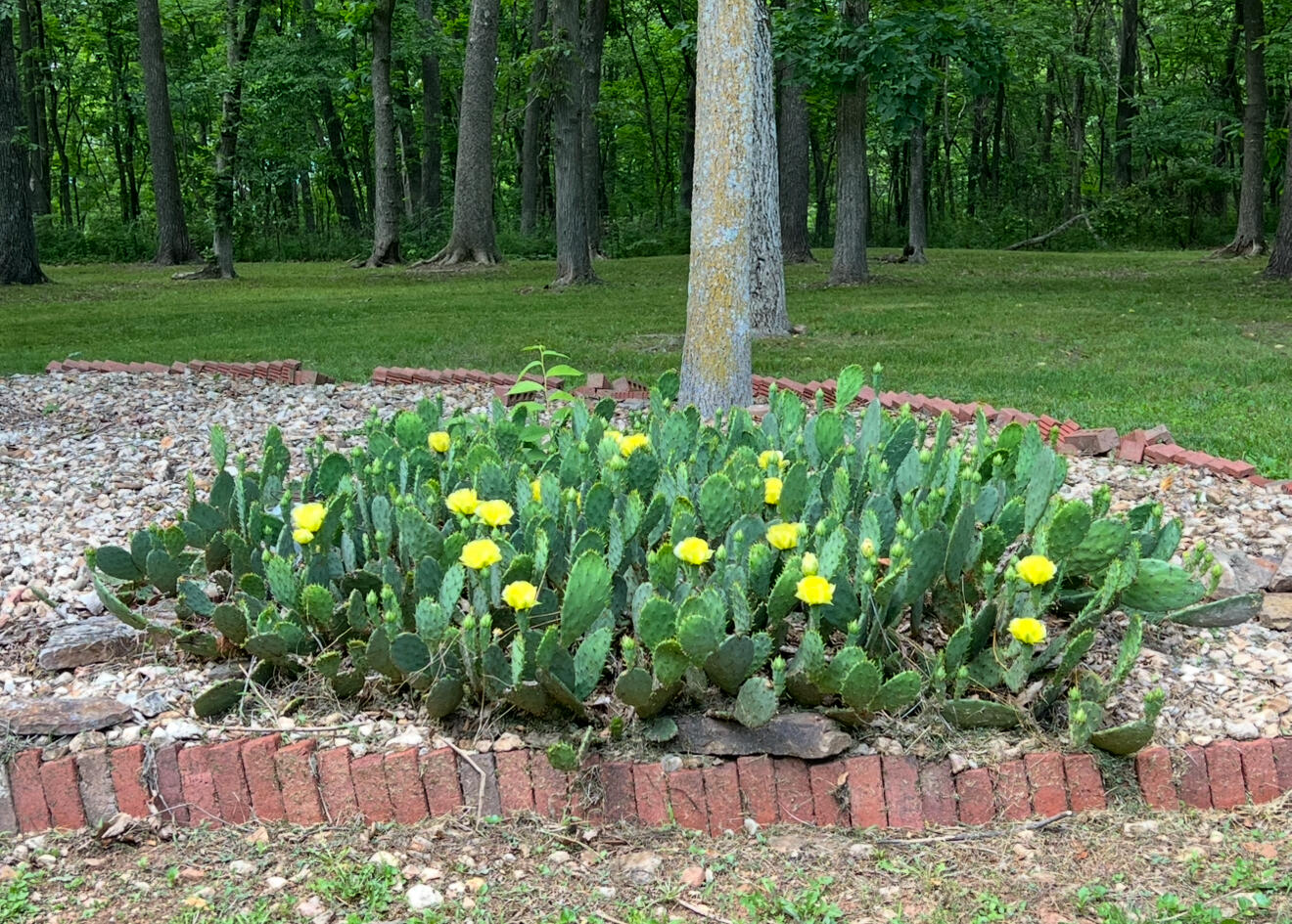 8043 State Hwy M Property Photo 47