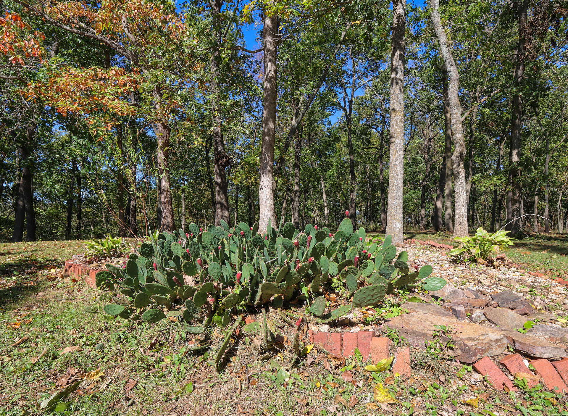 8043 State Hwy M Property Photo 54