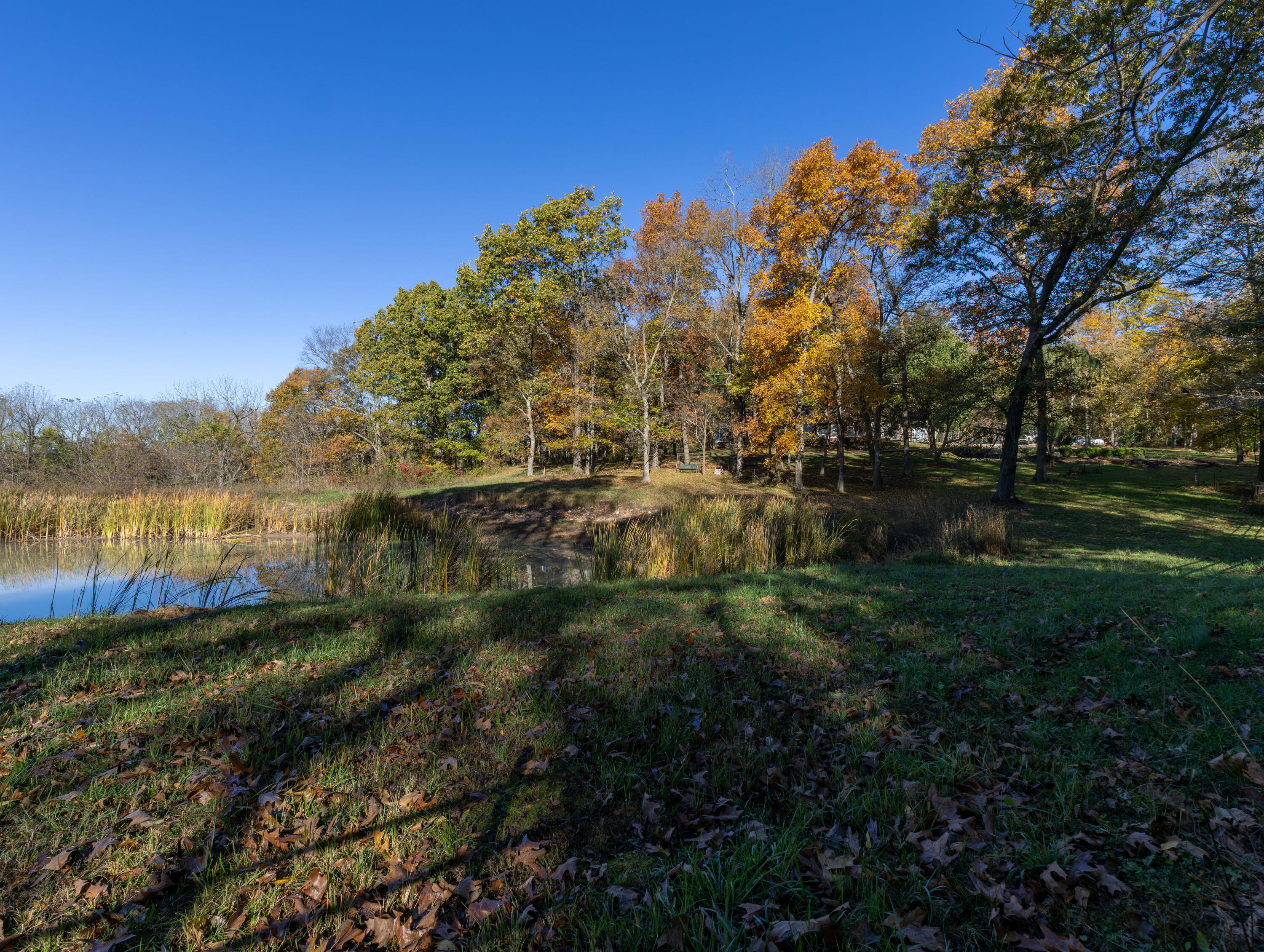 8043 State Hwy M Property Photo 58