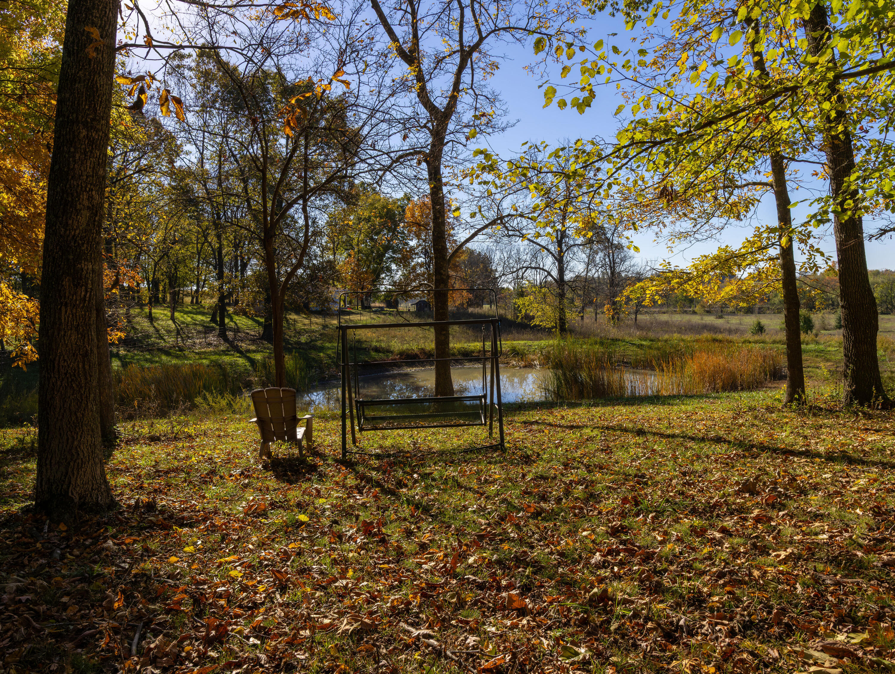 8043 State Hwy M Property Photo 61