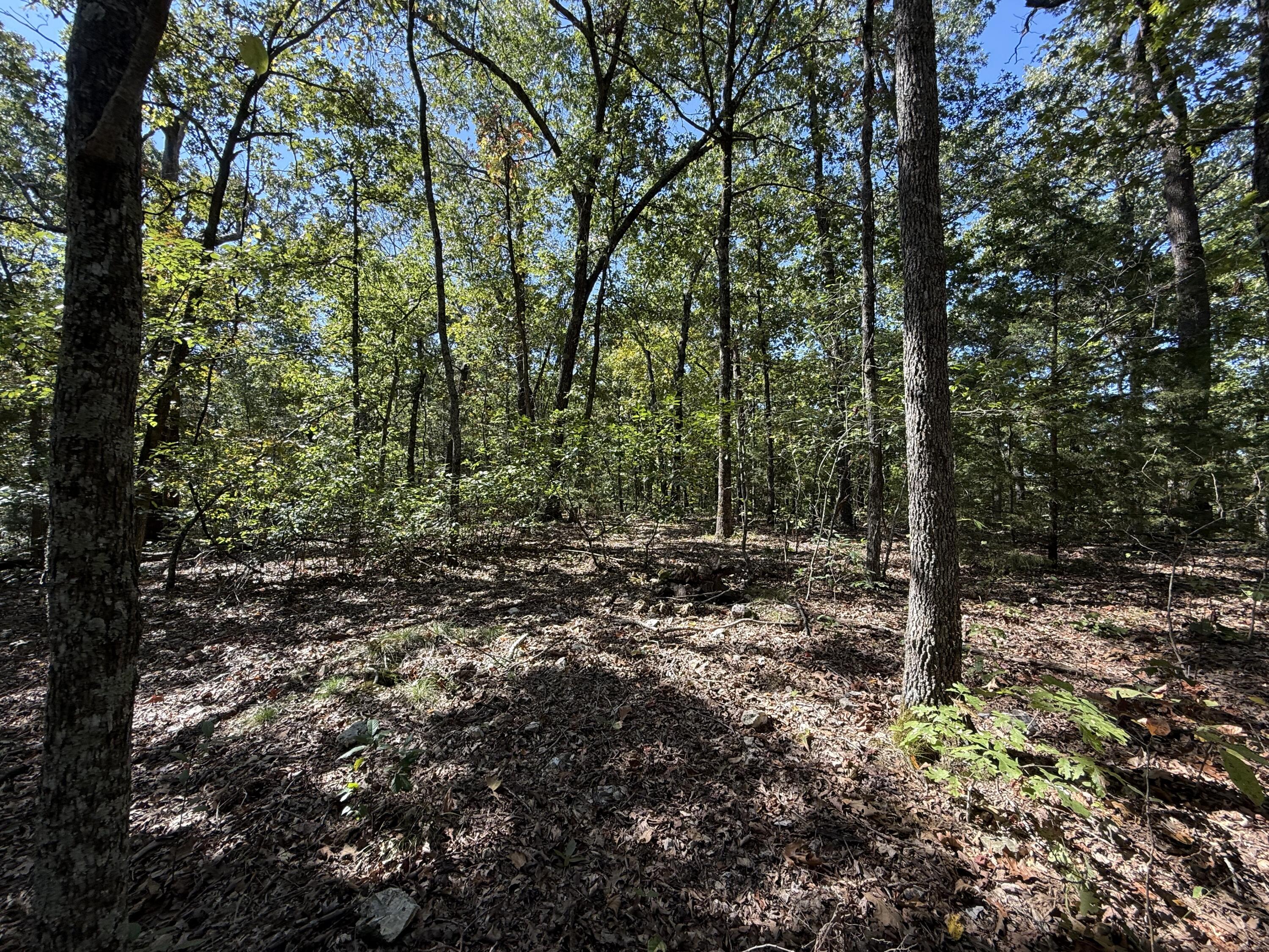 38.84 Ac Prayer Garden Ln Property Photo 8
