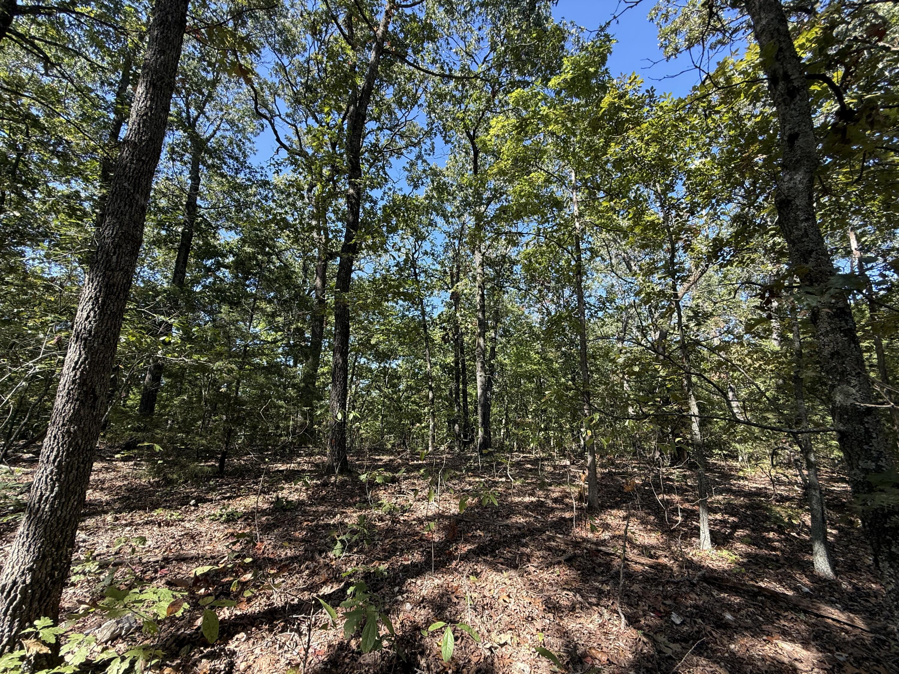 38.84 Ac Prayer Garden Ln Property Photo 10
