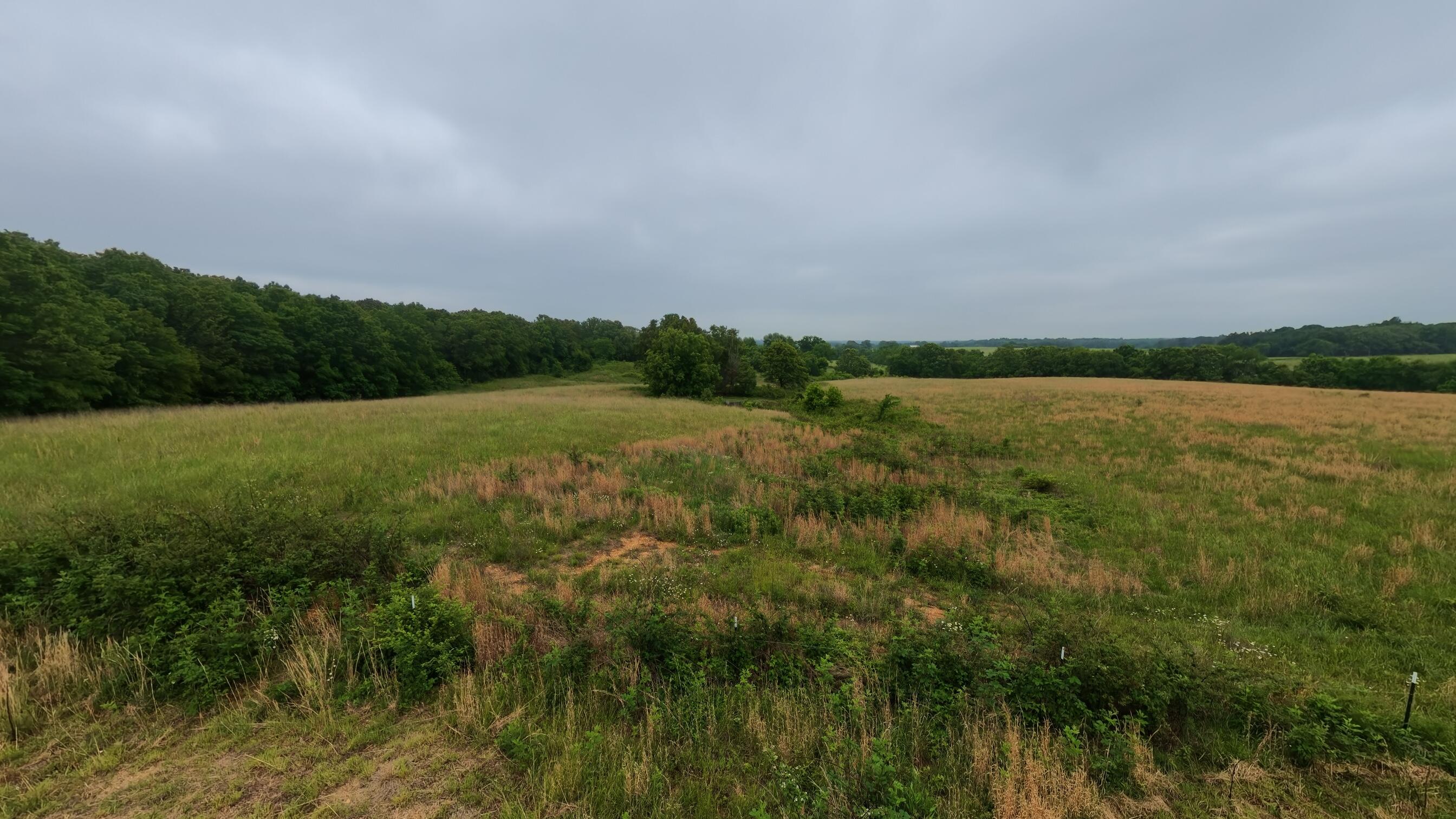5564 State Highway K Property Photo 55