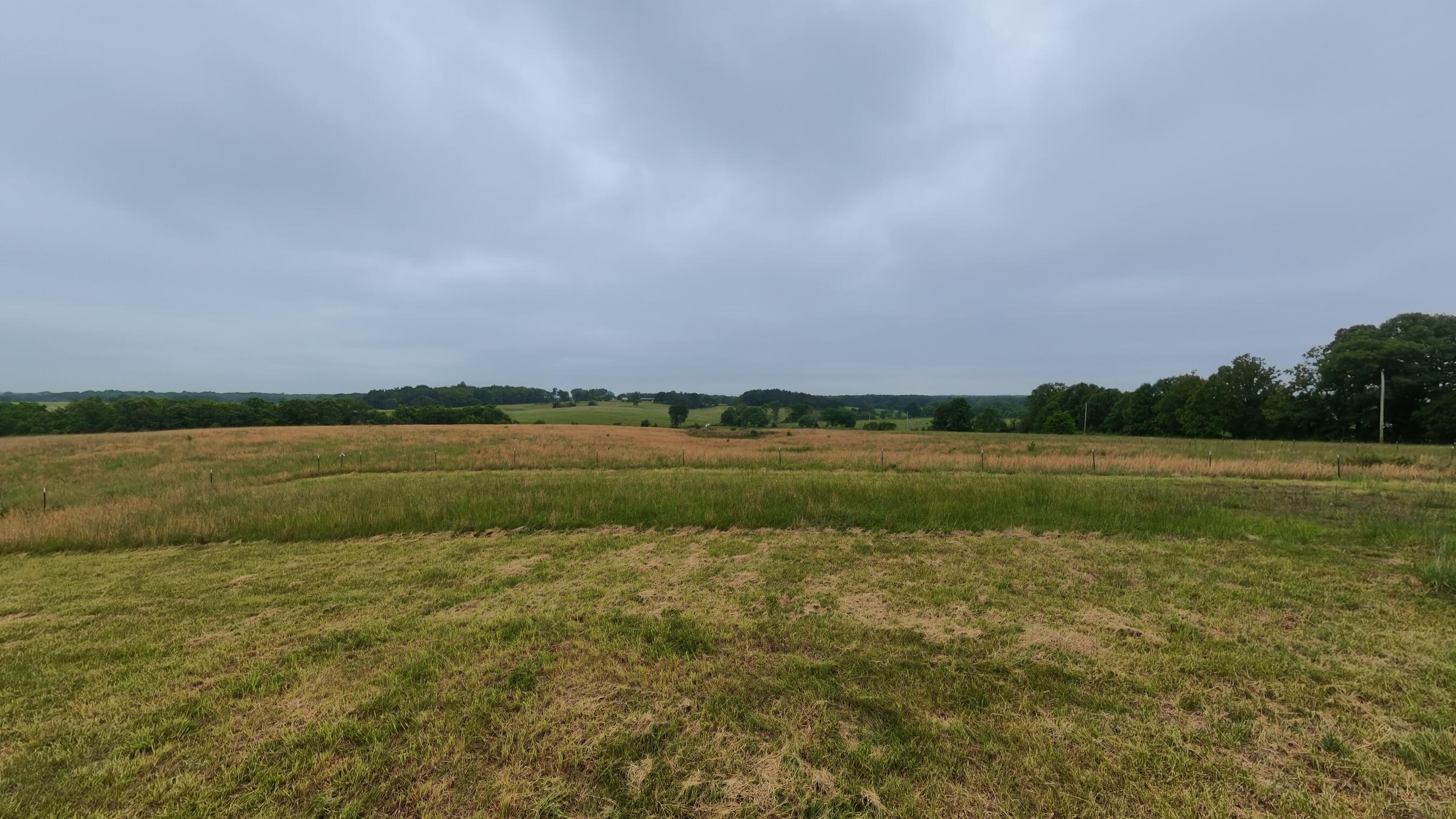 5564 State Highway K Property Photo 59