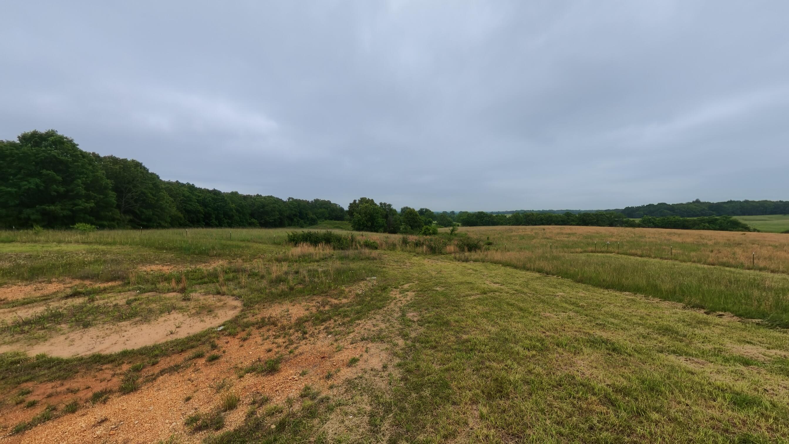 5564 State Highway K Property Photo 60