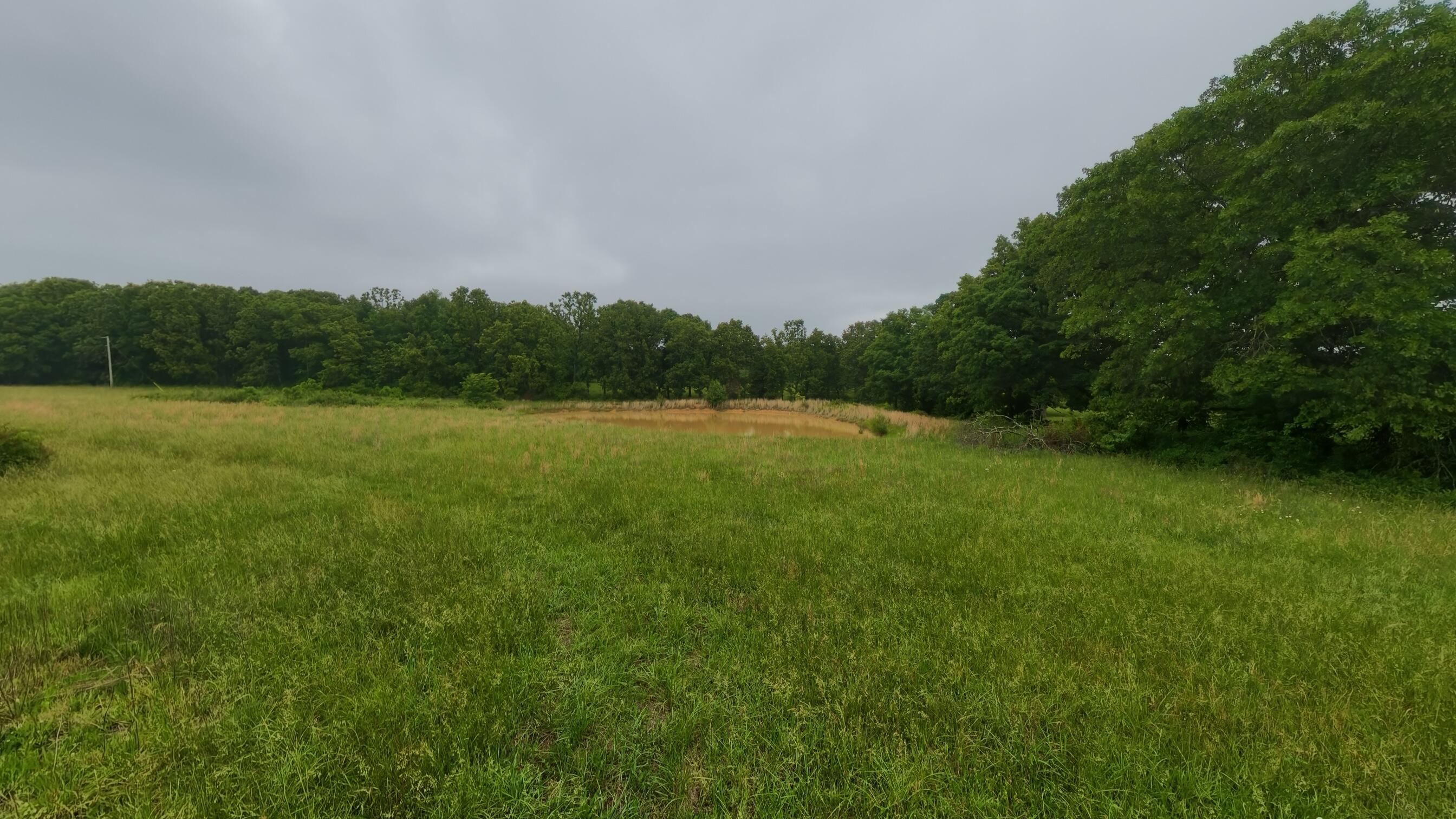 5564 State Highway K Property Photo 70