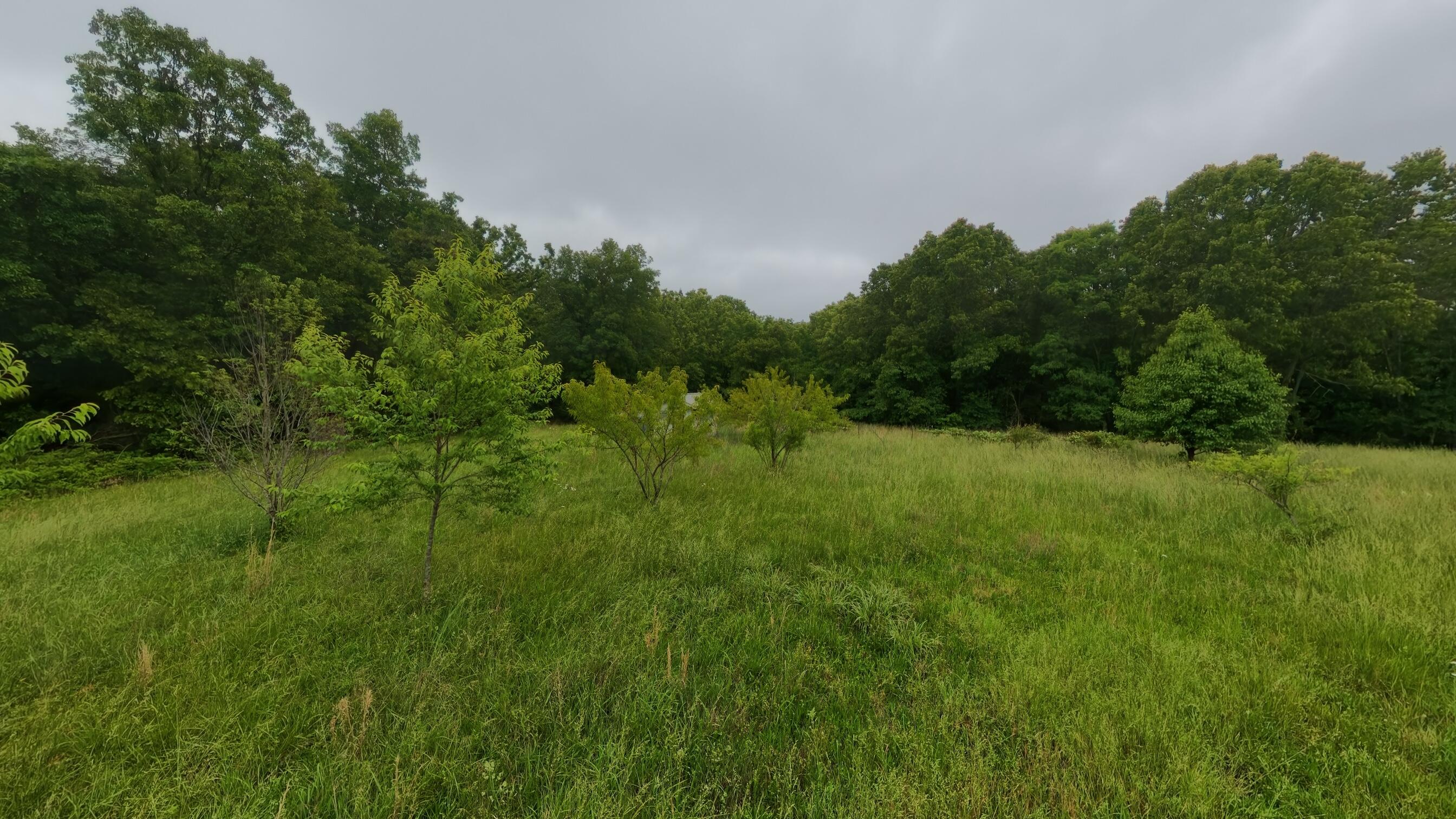 5564 State Highway K Property Photo 71