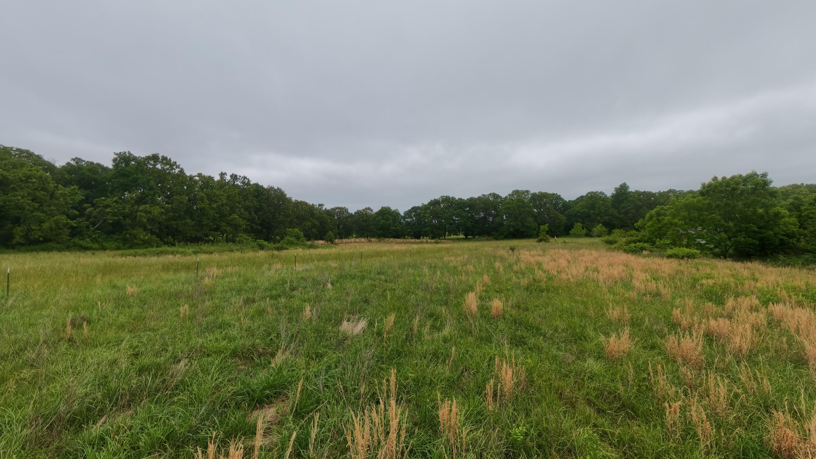 5564 State Highway K Property Photo 78