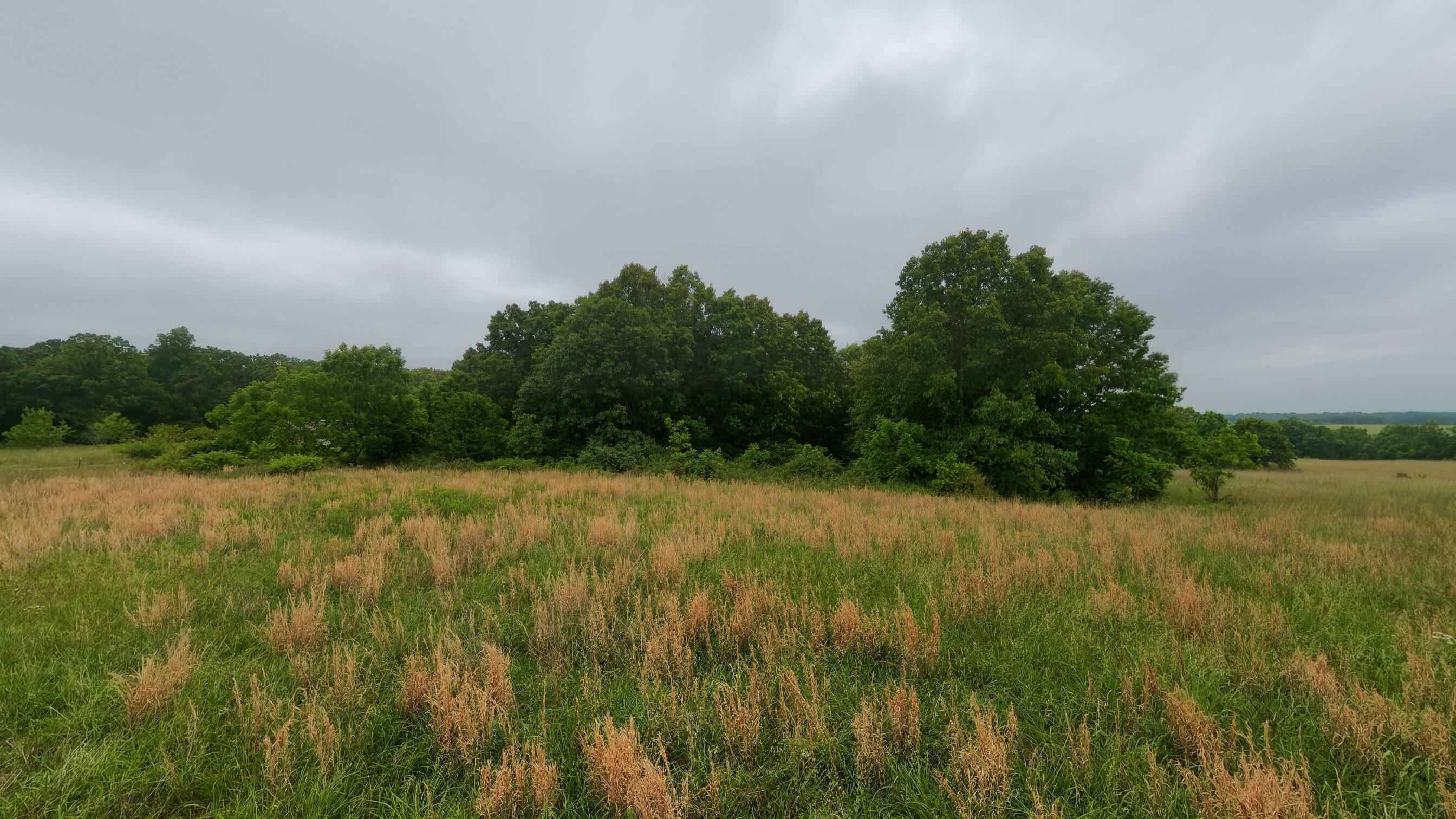 5564 State Highway K Property Photo 79