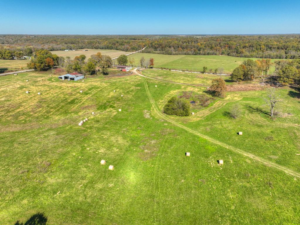 26097 Poppy Drive Property Photo 24