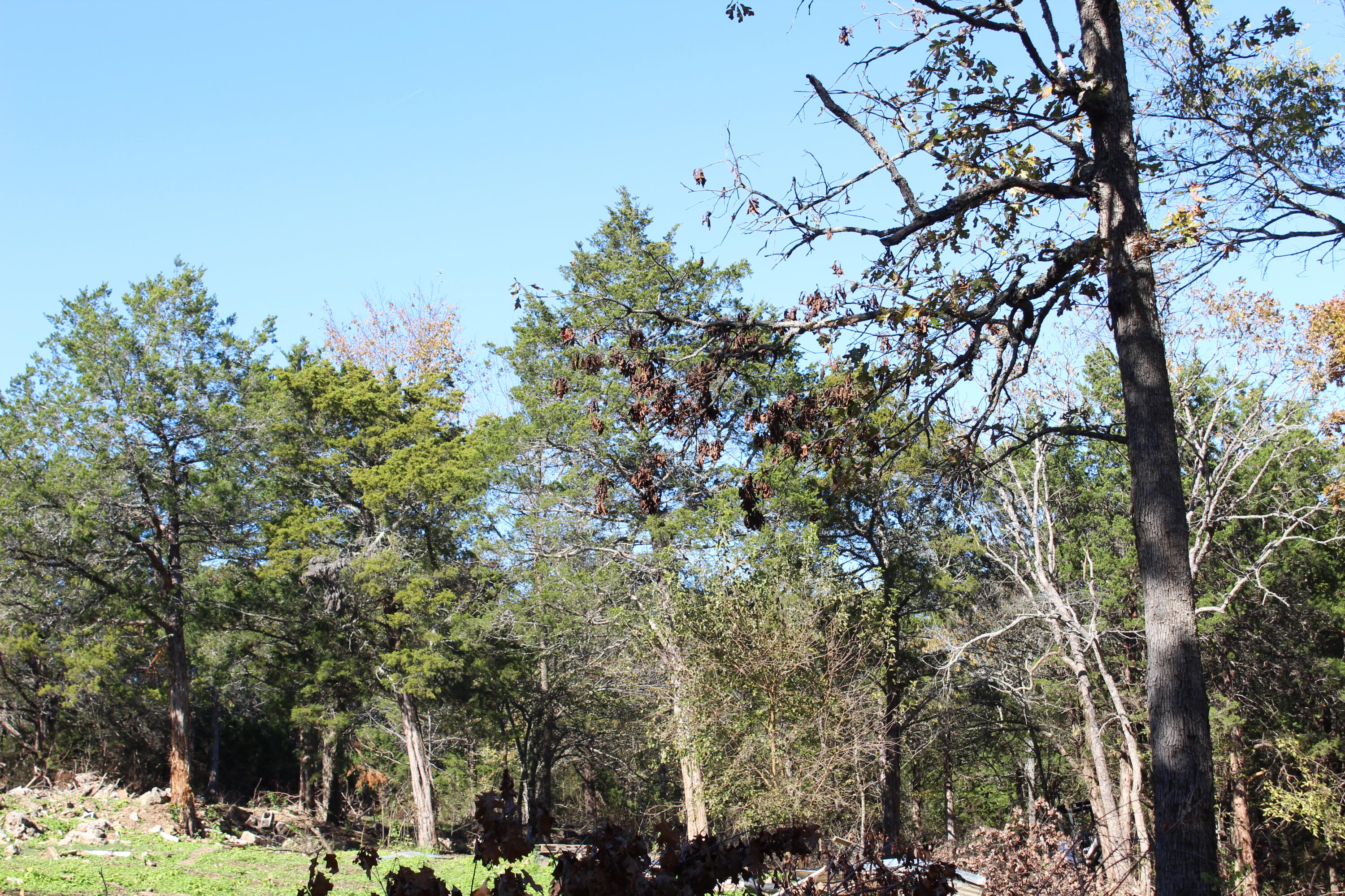 310 Rocky Road Lane Property Photo 8