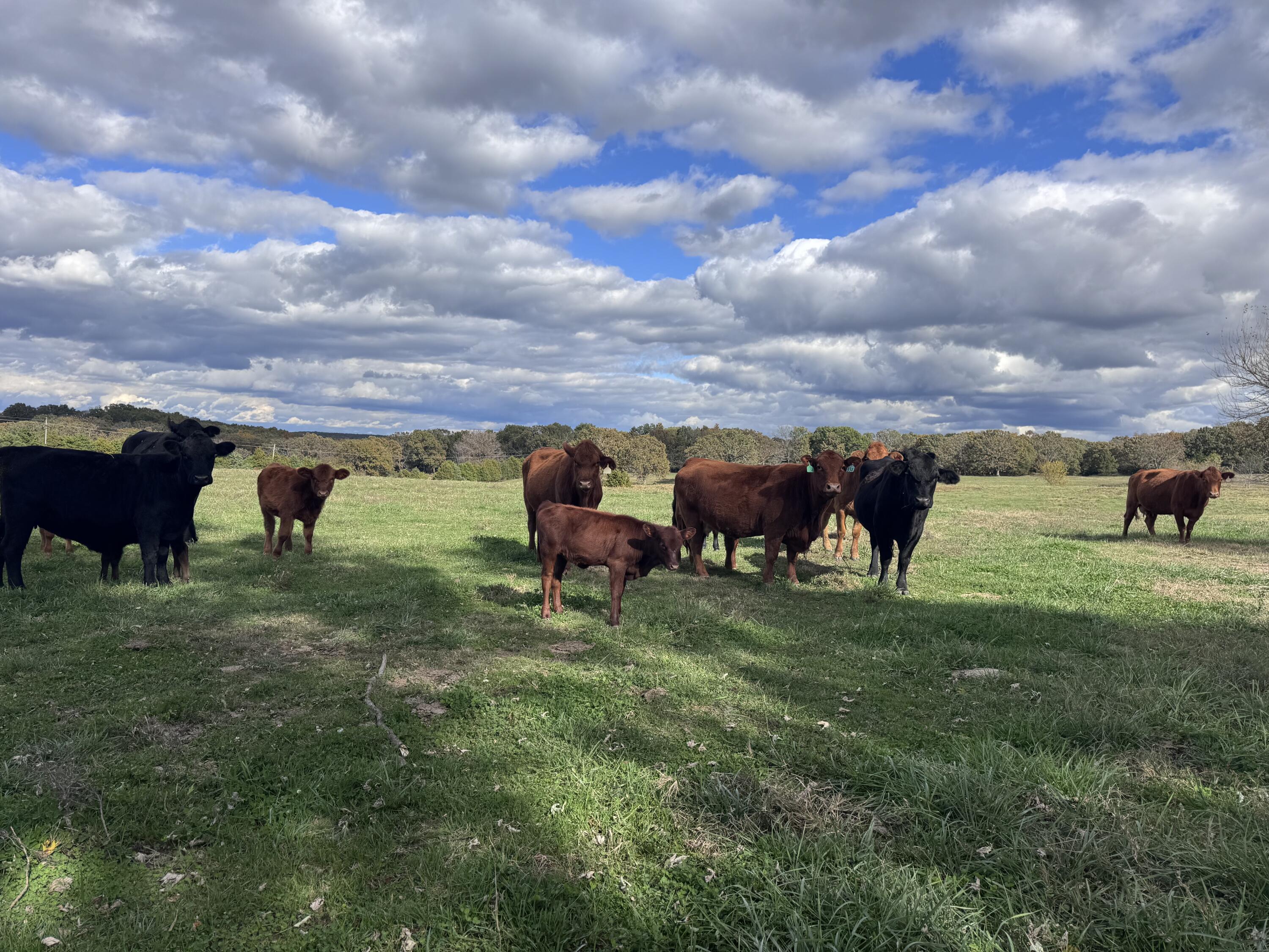 0000 State Highway M Property Photo 1