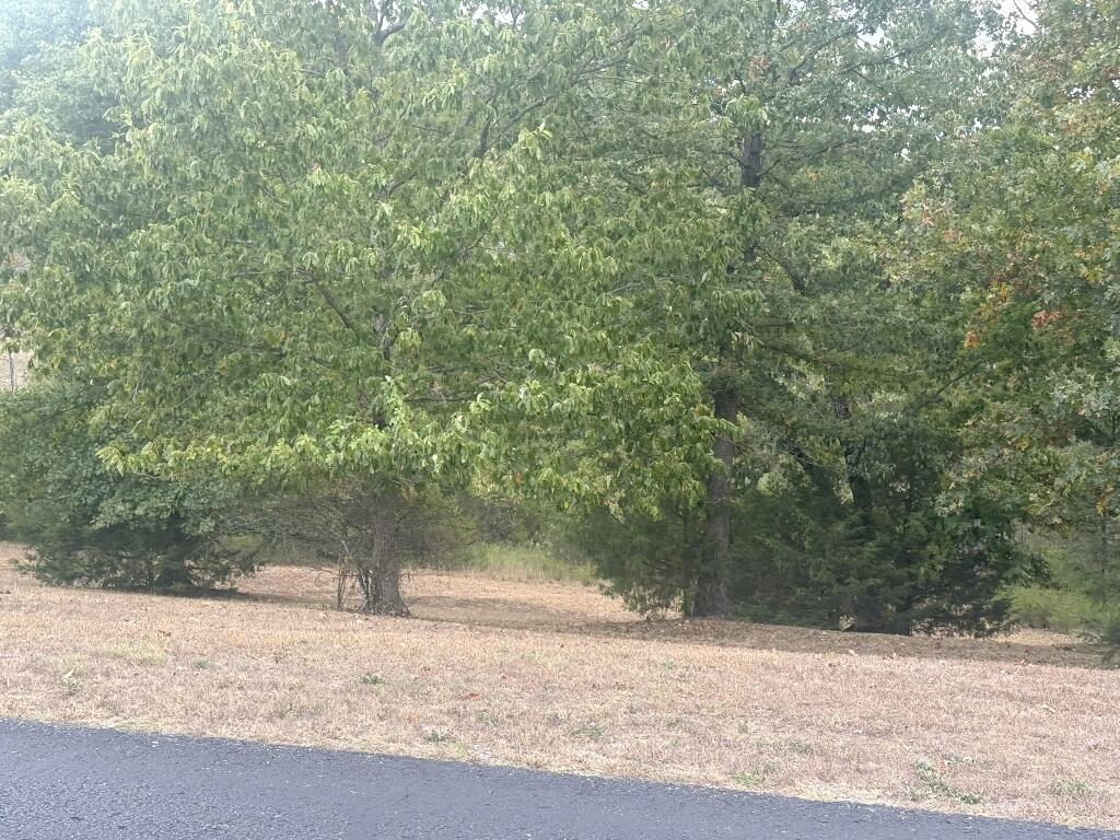 121 Ranch Road Property Photo 11