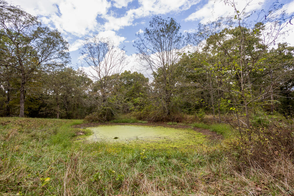 000 County Road 309 Property Photo 23
