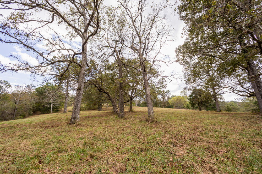 000 County Road 309 Property Photo 24