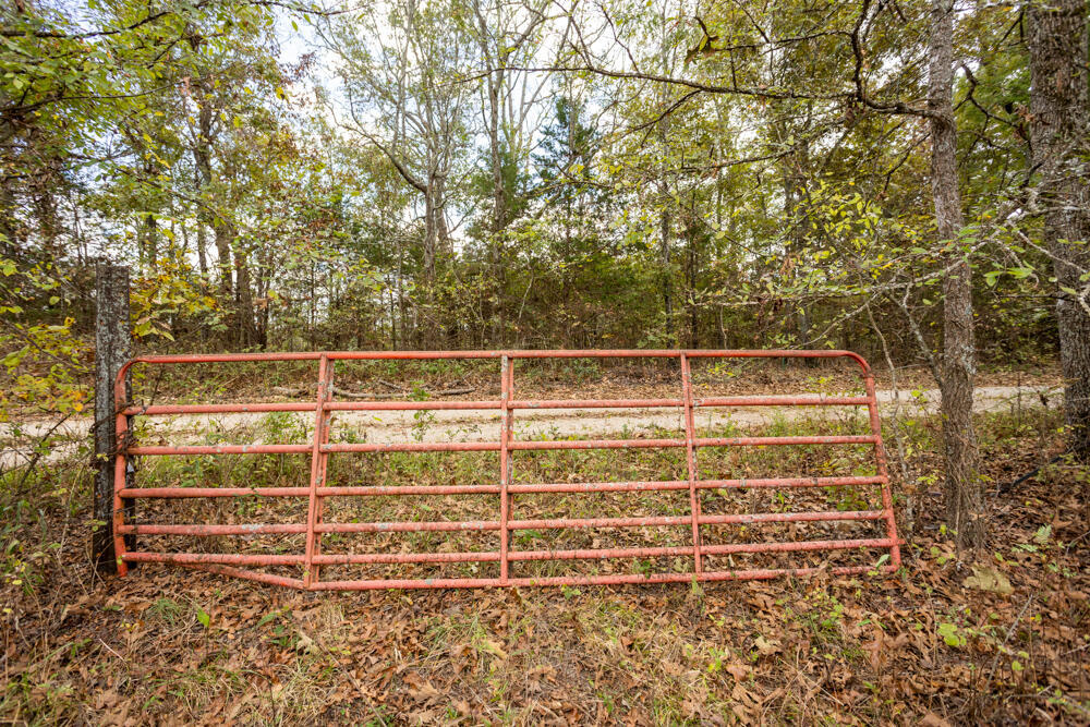 000 County Road 309 Property Photo 25