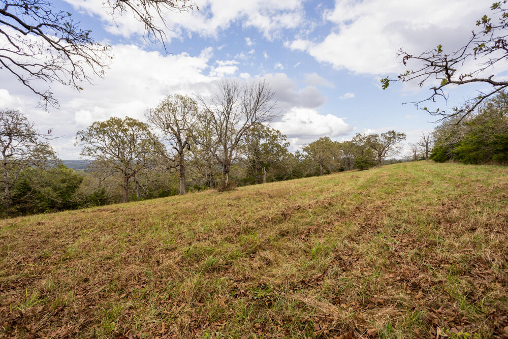 000 County Road 309 Property Photo 27