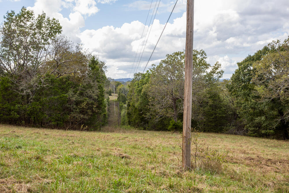 000 County Road 309 Property Photo 31