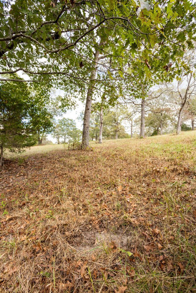 000 County Road 309 Property Photo 32