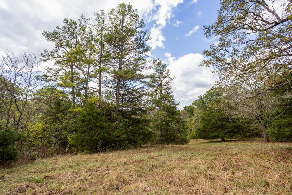 000 County Road 309 Property Photo 33