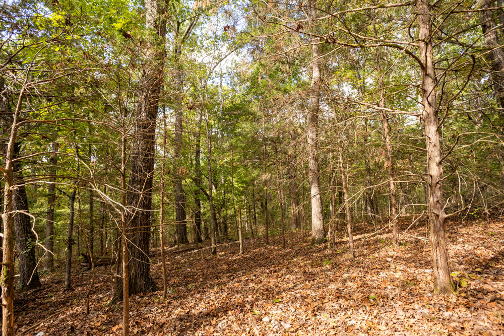 000 County Road 309 Property Photo 34