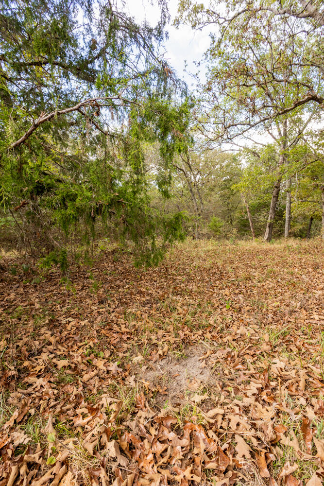 000 County Road 309 Property Photo 38