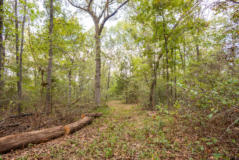 000 County Road 309 Property Photo 42