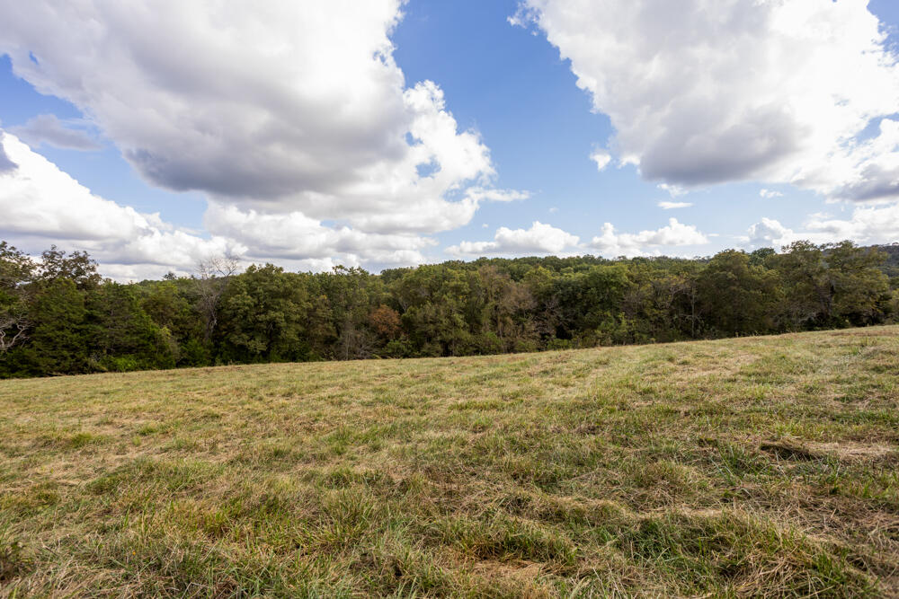 000 County Road 309 Property Photo 48