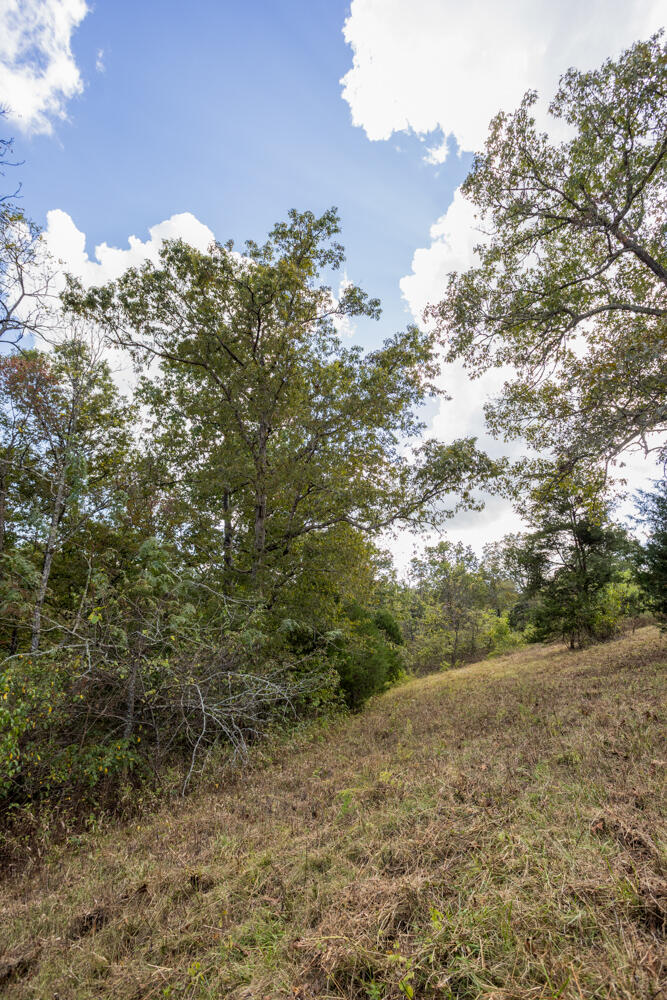 000 County Road 309 Property Photo 49