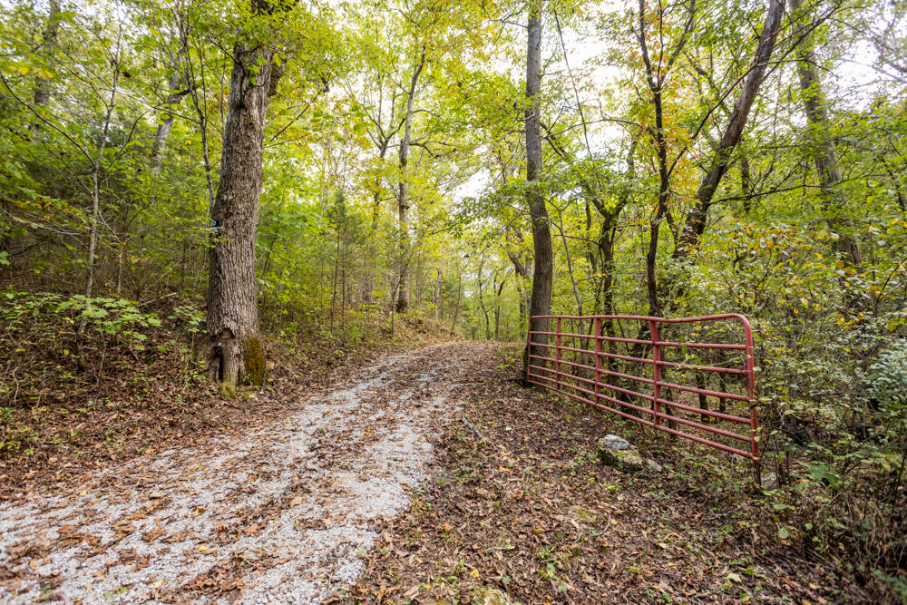 000 County Road 309 Property Photo 51