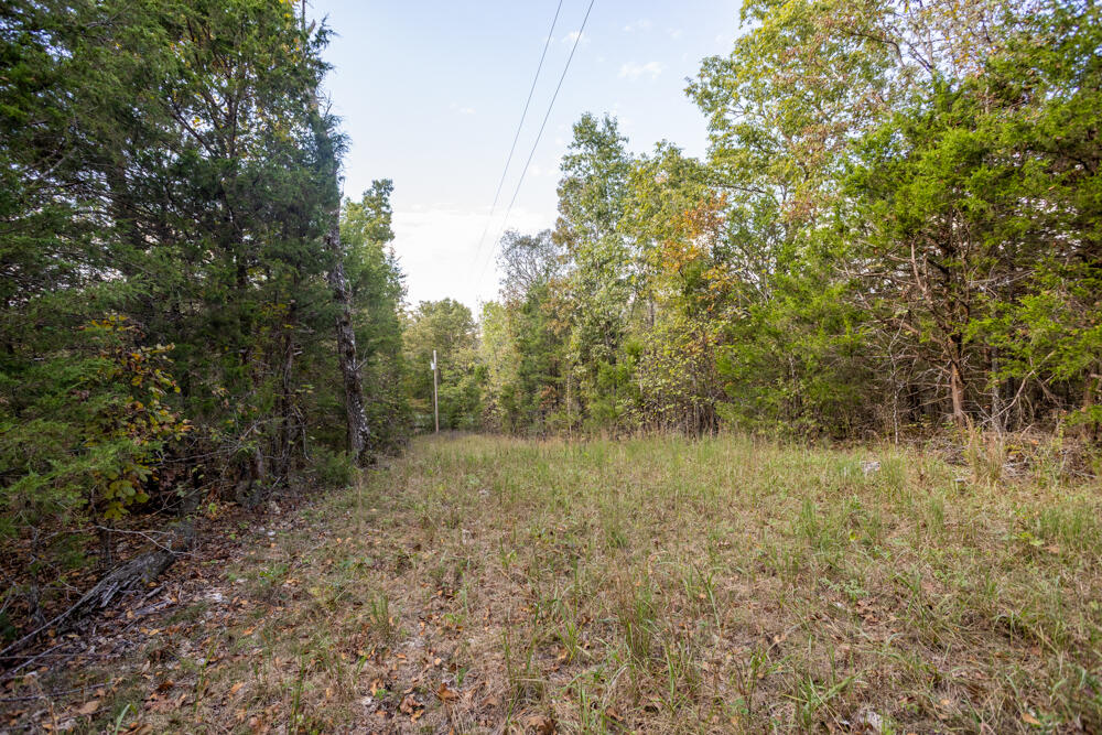 000 County Road 309 Property Photo 60