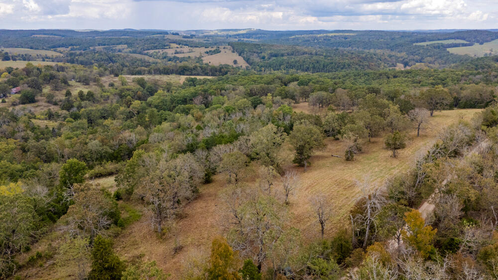 000 County Road 309 Property Photo 62