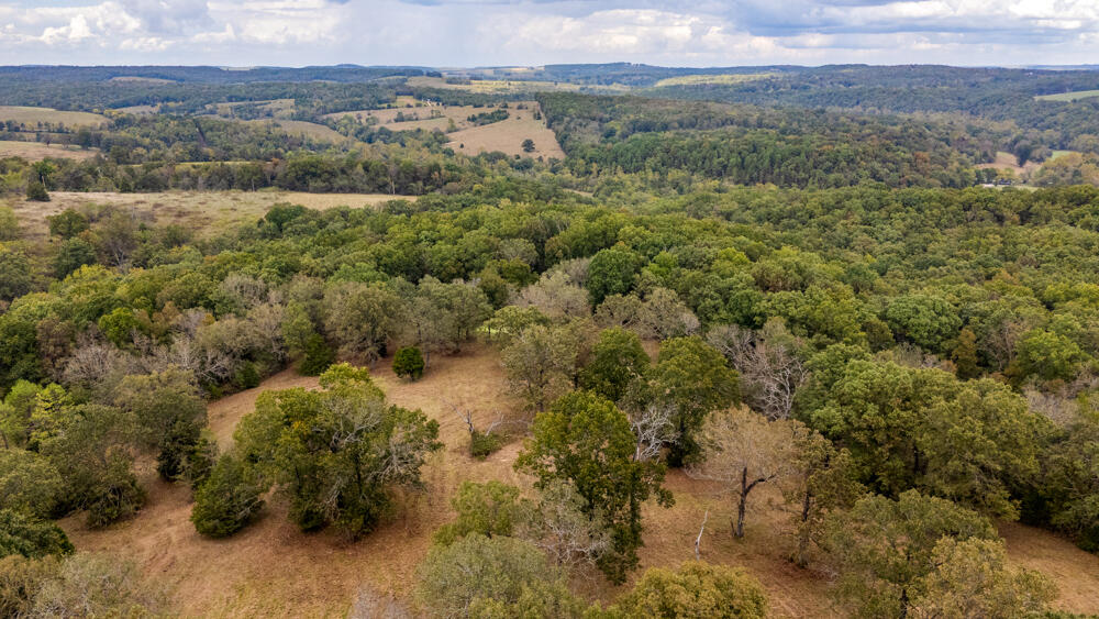 000 County Road 309 Property Photo 71