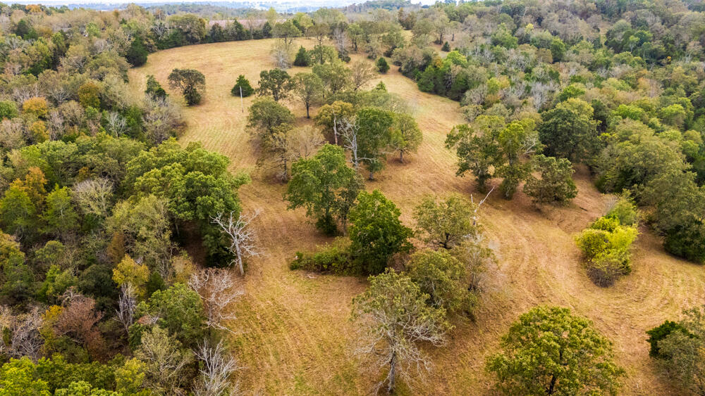 000 County Road 309 Property Photo 86