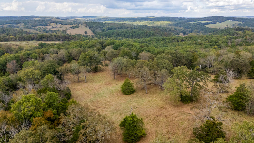 000 County Road 309 Property Photo 93