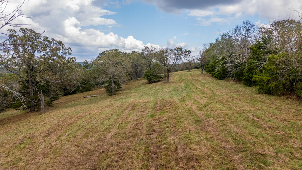 000 County Road 309 Property Photo 94