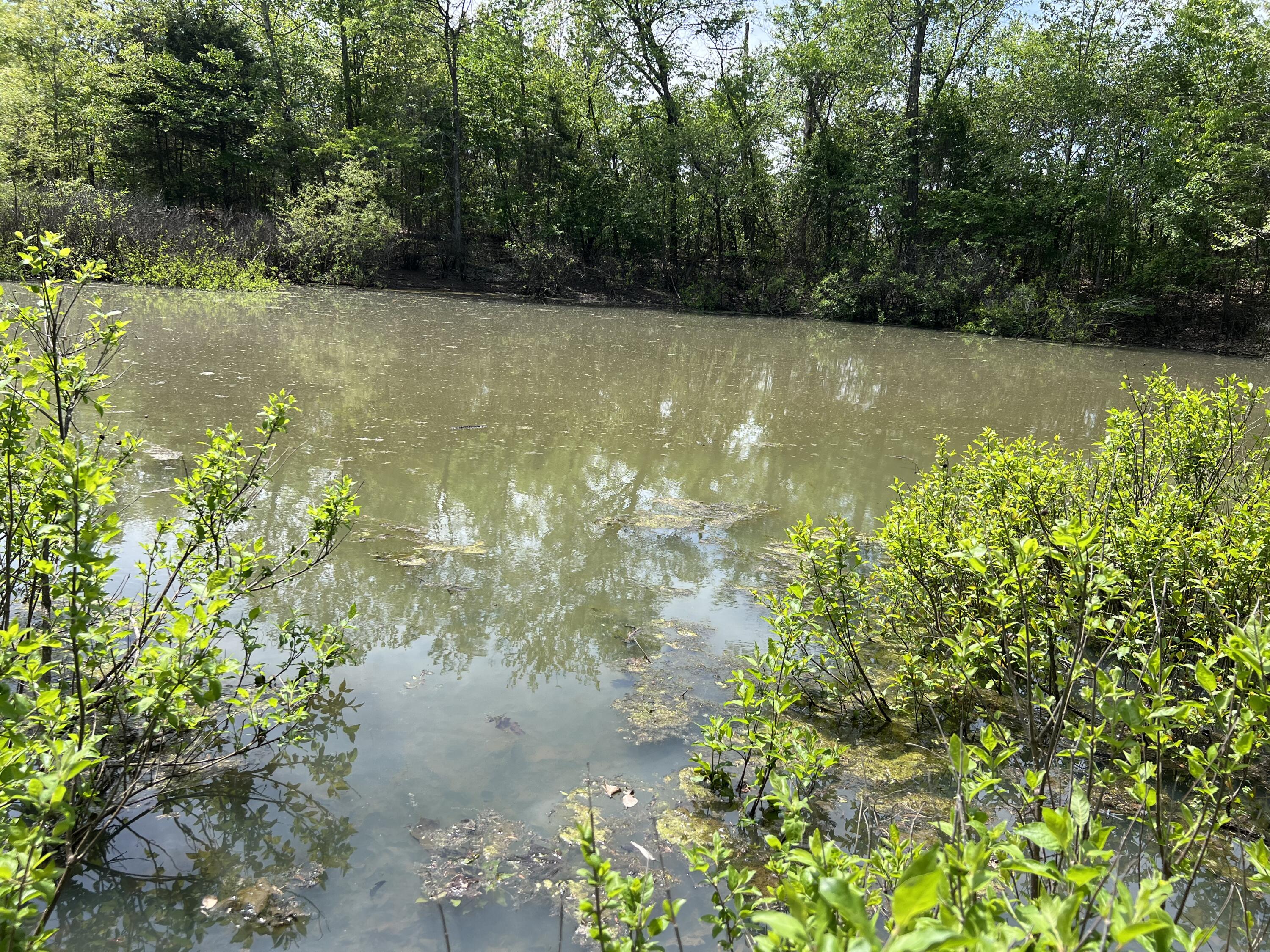 000 County Road P-309 Property Photo 1