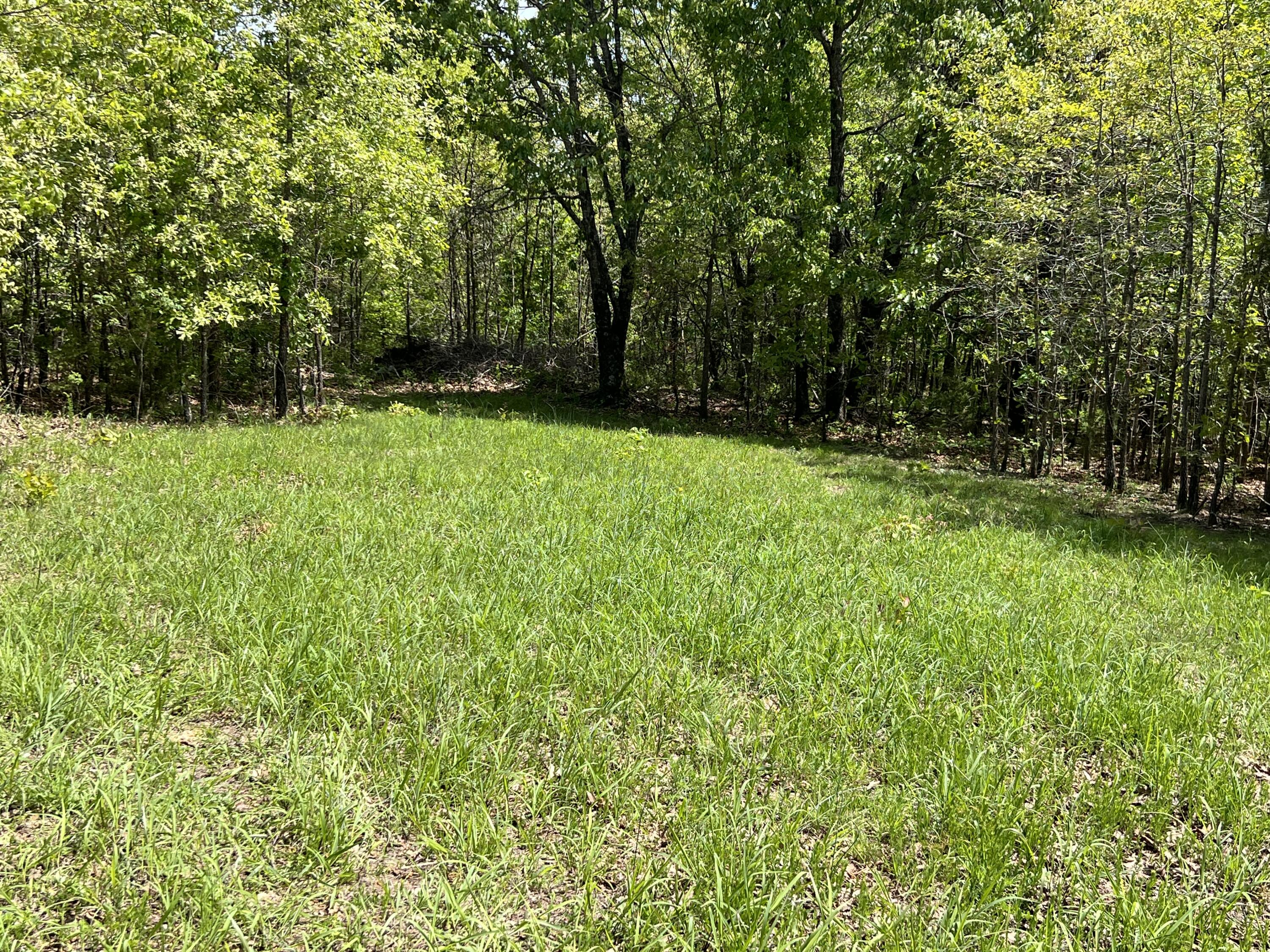 000 County Road P-309 Property Photo 2