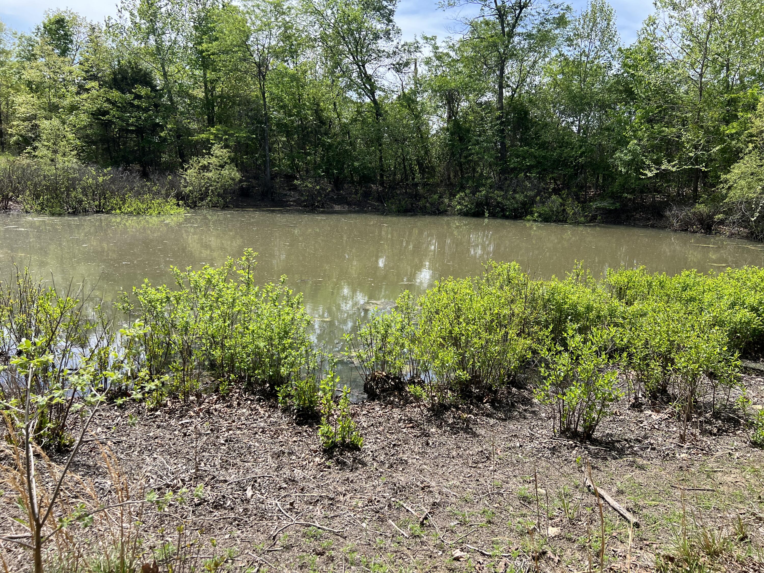 000 County Road P-309 Property Photo 8