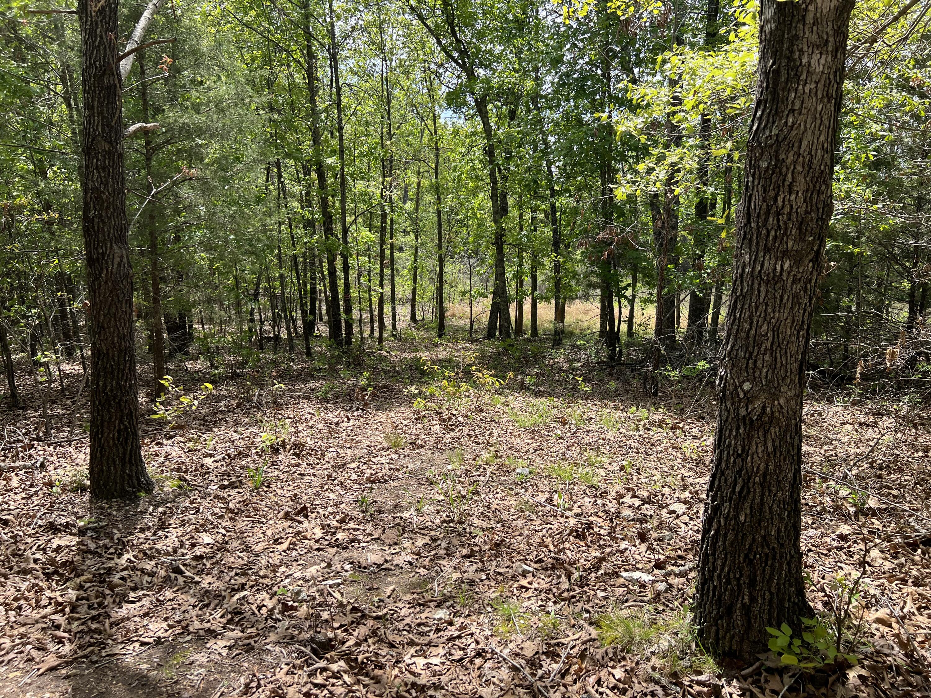 000 County Road P-309 Property Photo 9