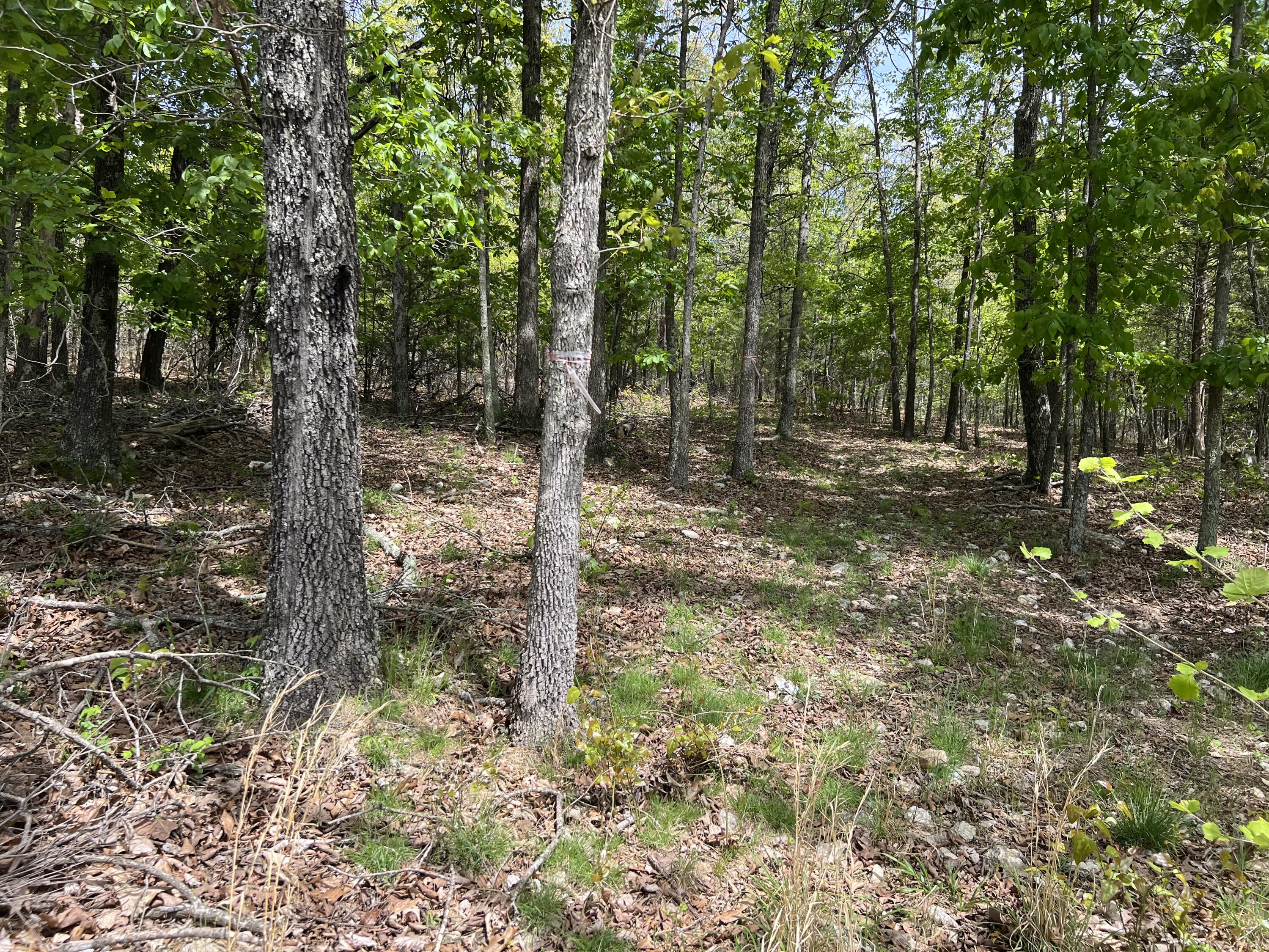000 County Road P-309 Property Photo 10