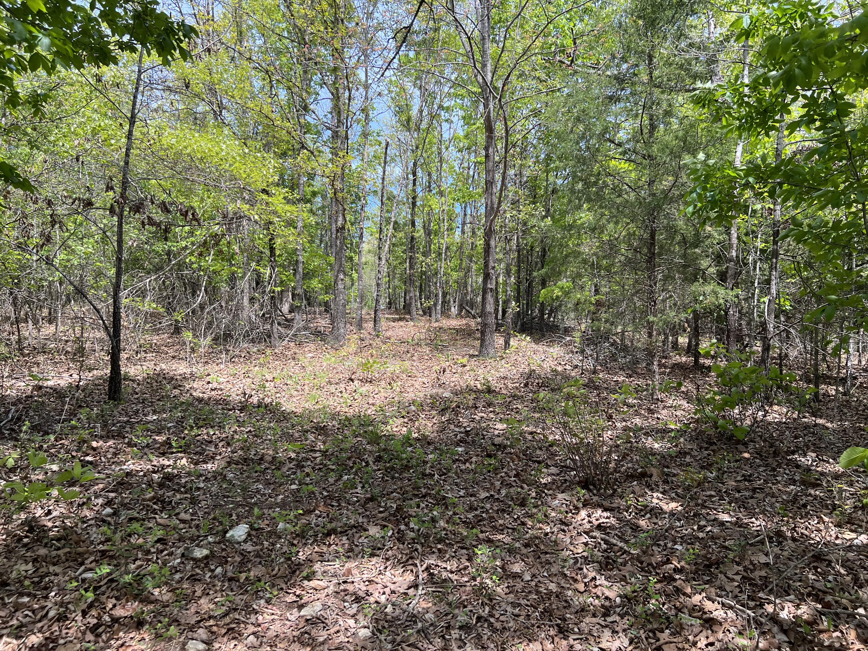 000 County Road P-309 Property Photo 11