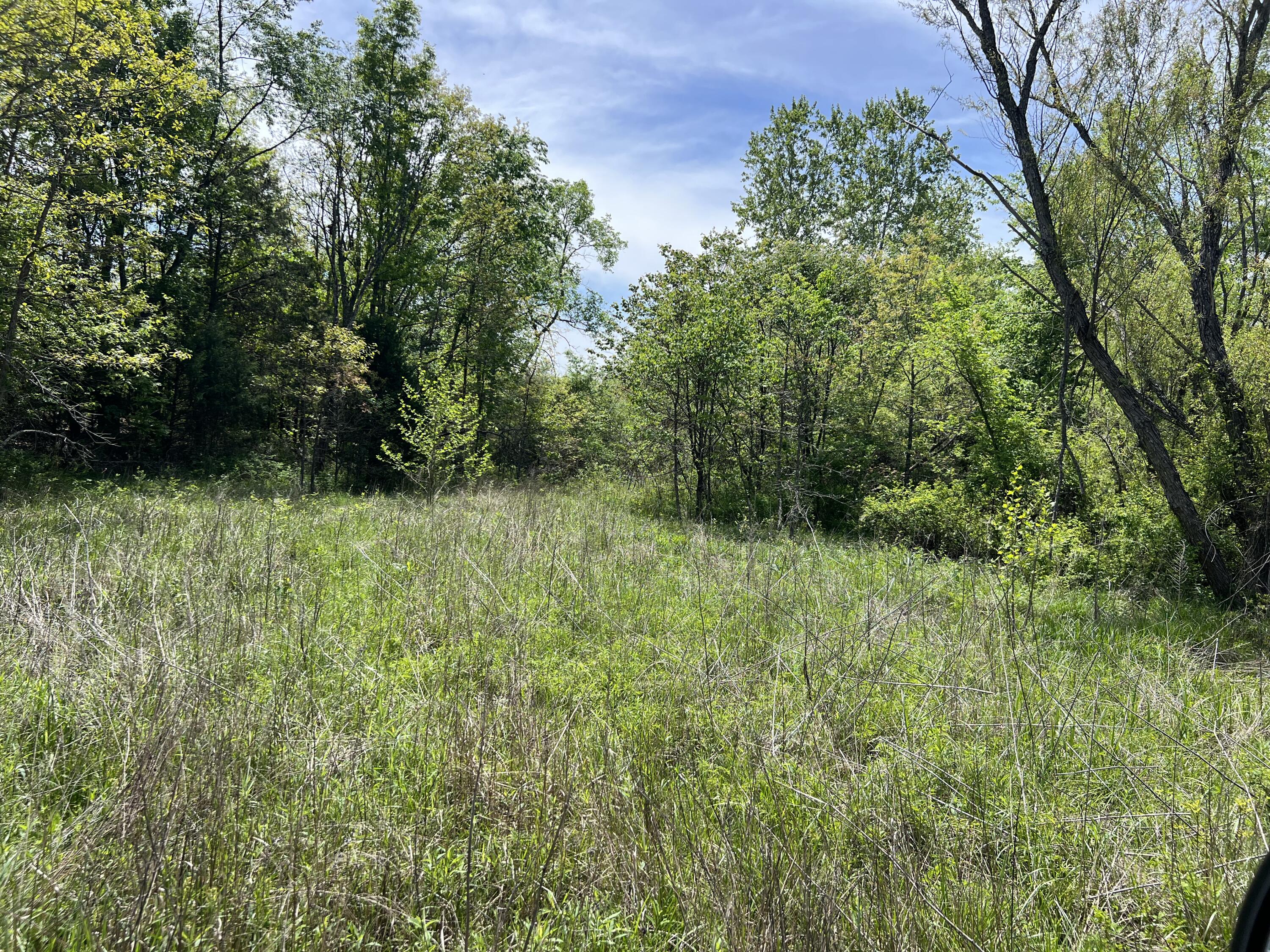 000 County Road P-309 Property Photo 13