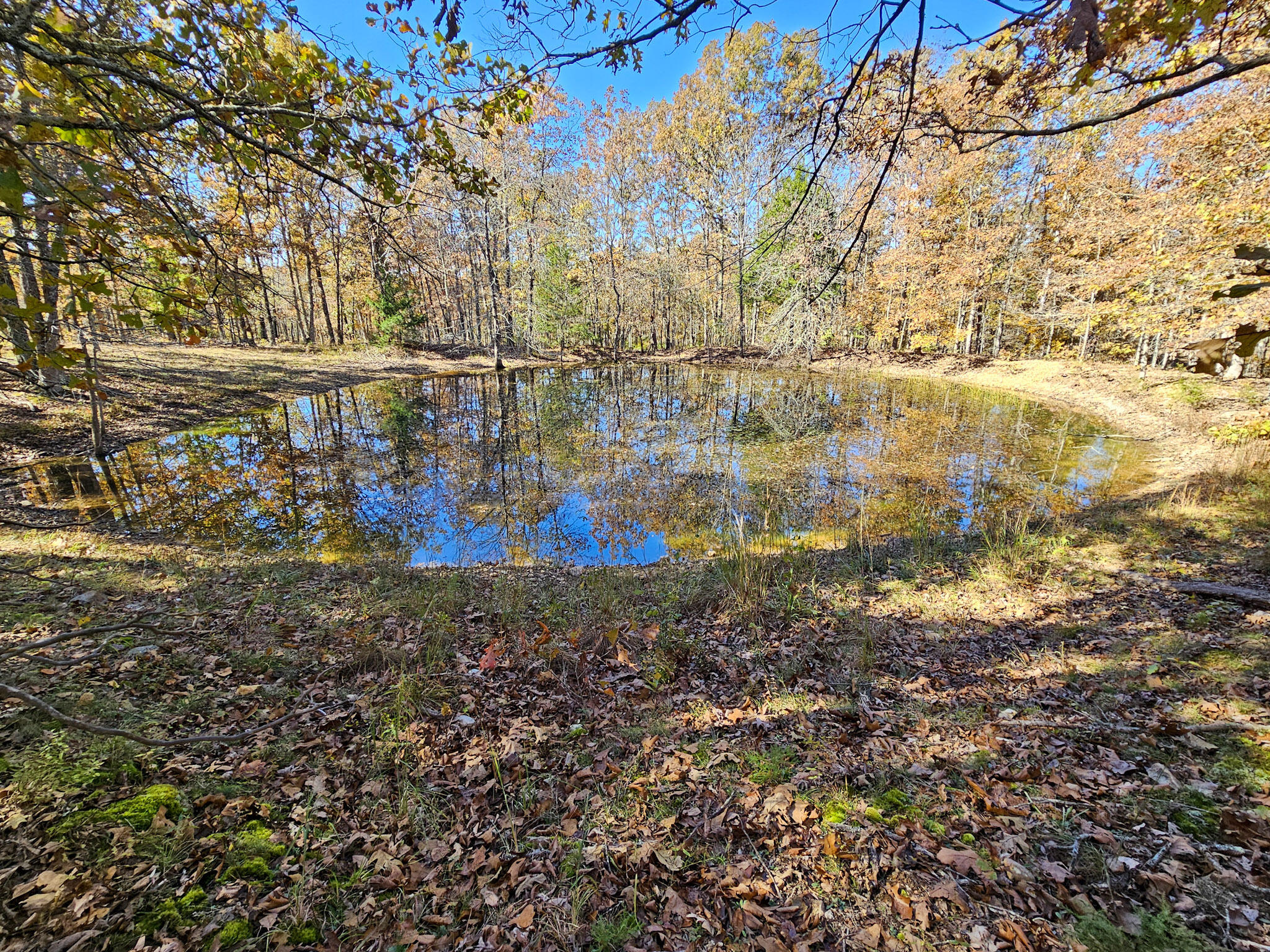 000 State Route Nn Property Photo 2