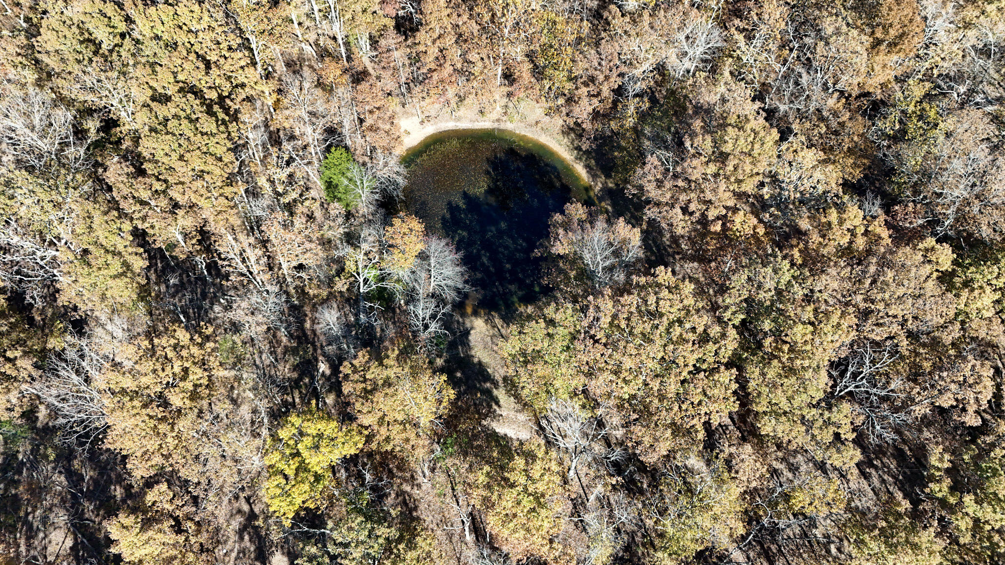 000 State Route Nn Property Photo 3