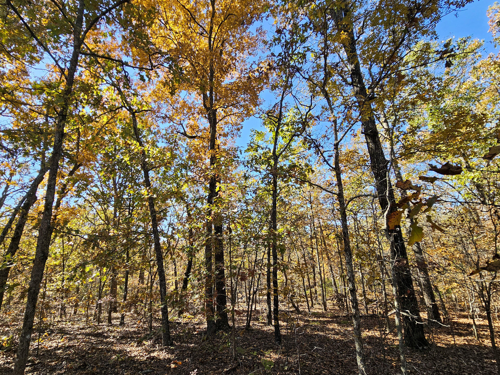 000 State Route Nn Property Photo 6