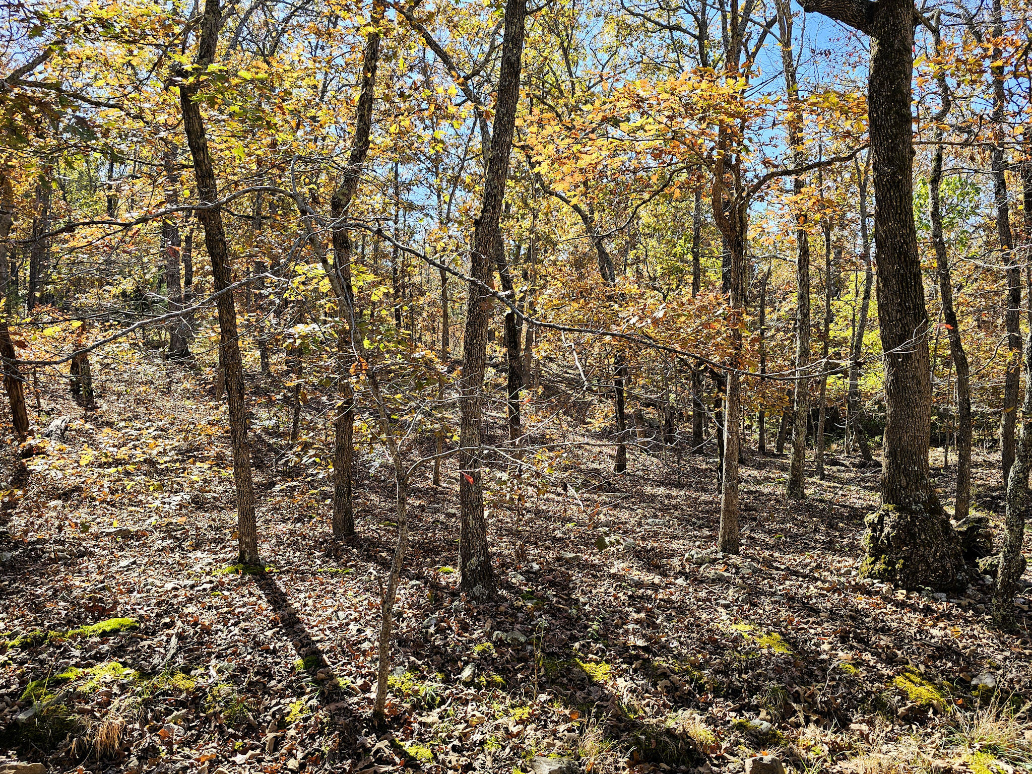 000 State Route Nn Property Photo 7