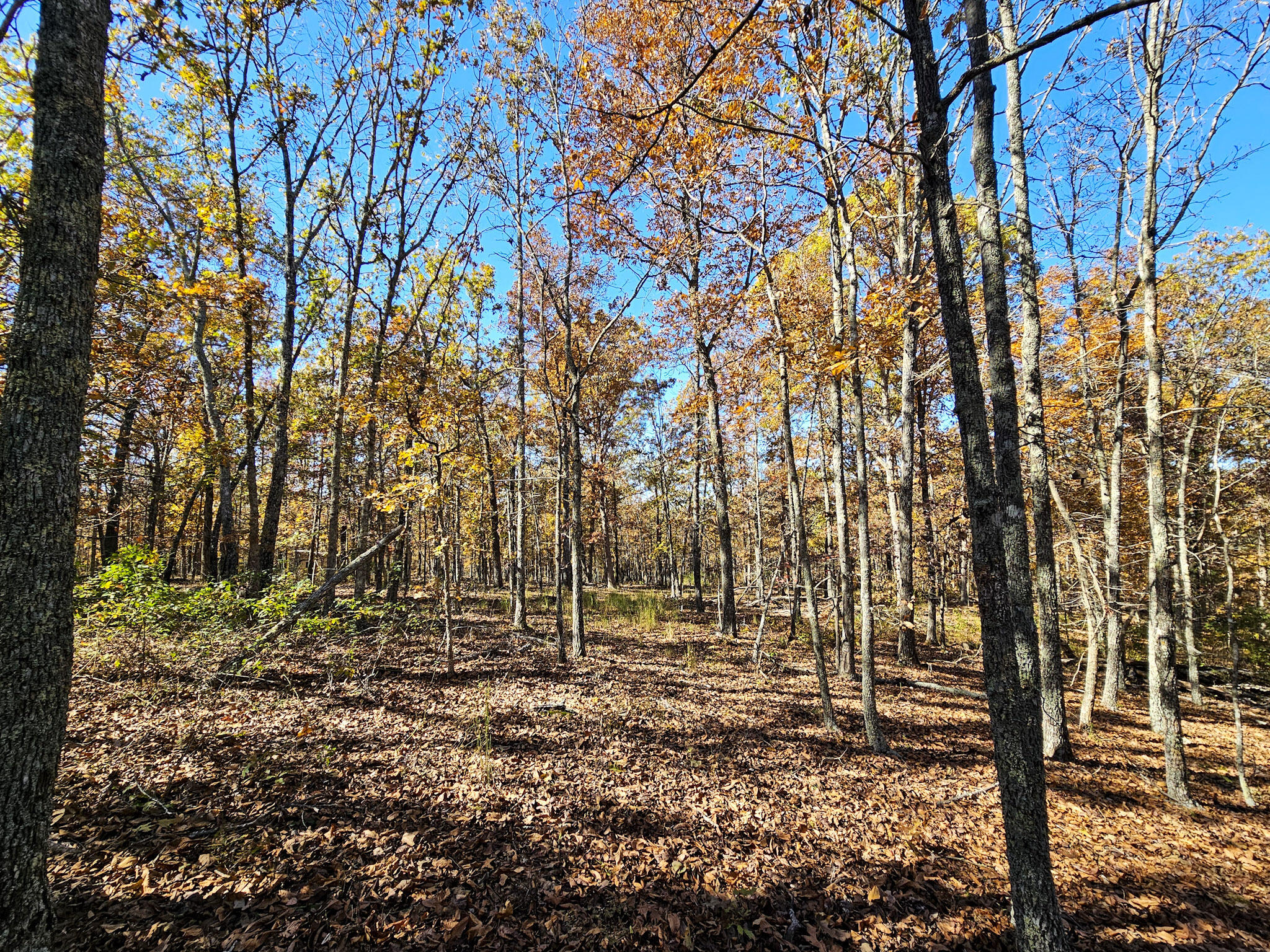 000 State Route Nn Property Photo 8